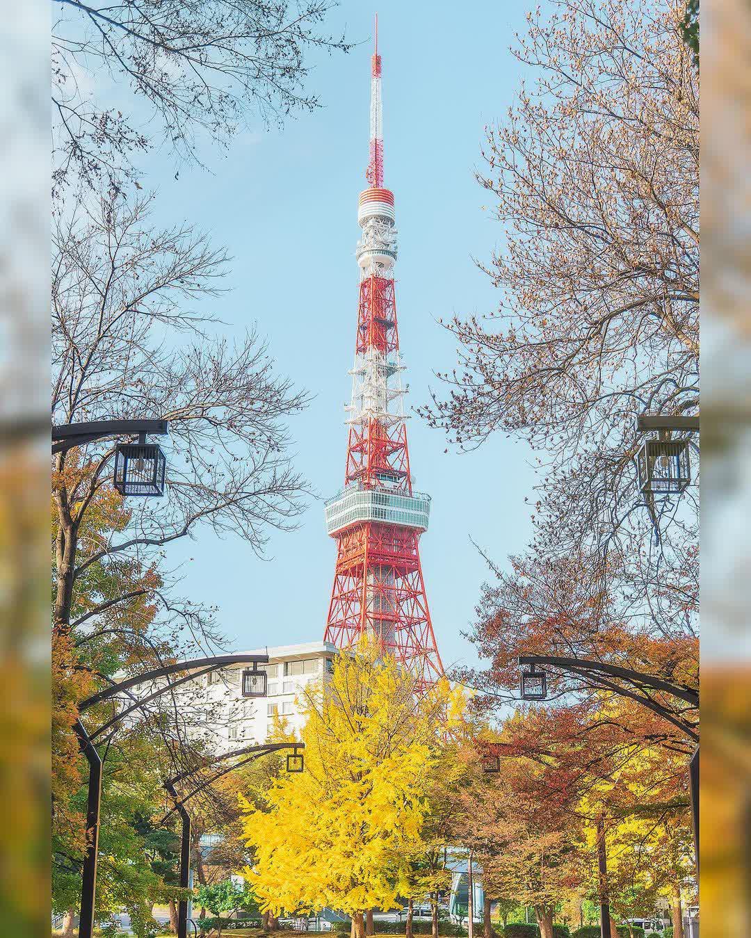 Shiba Park | 去趣 chicTrip