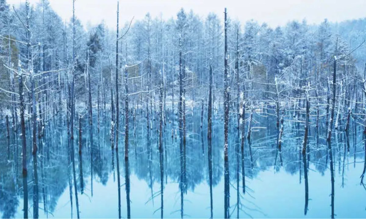 白金青池 | 去趣 chicTrip