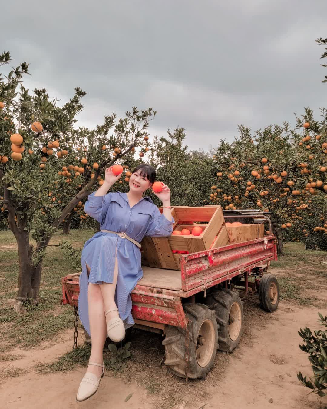 雅聞七里香玫瑰森林 | 去趣 chicTrip