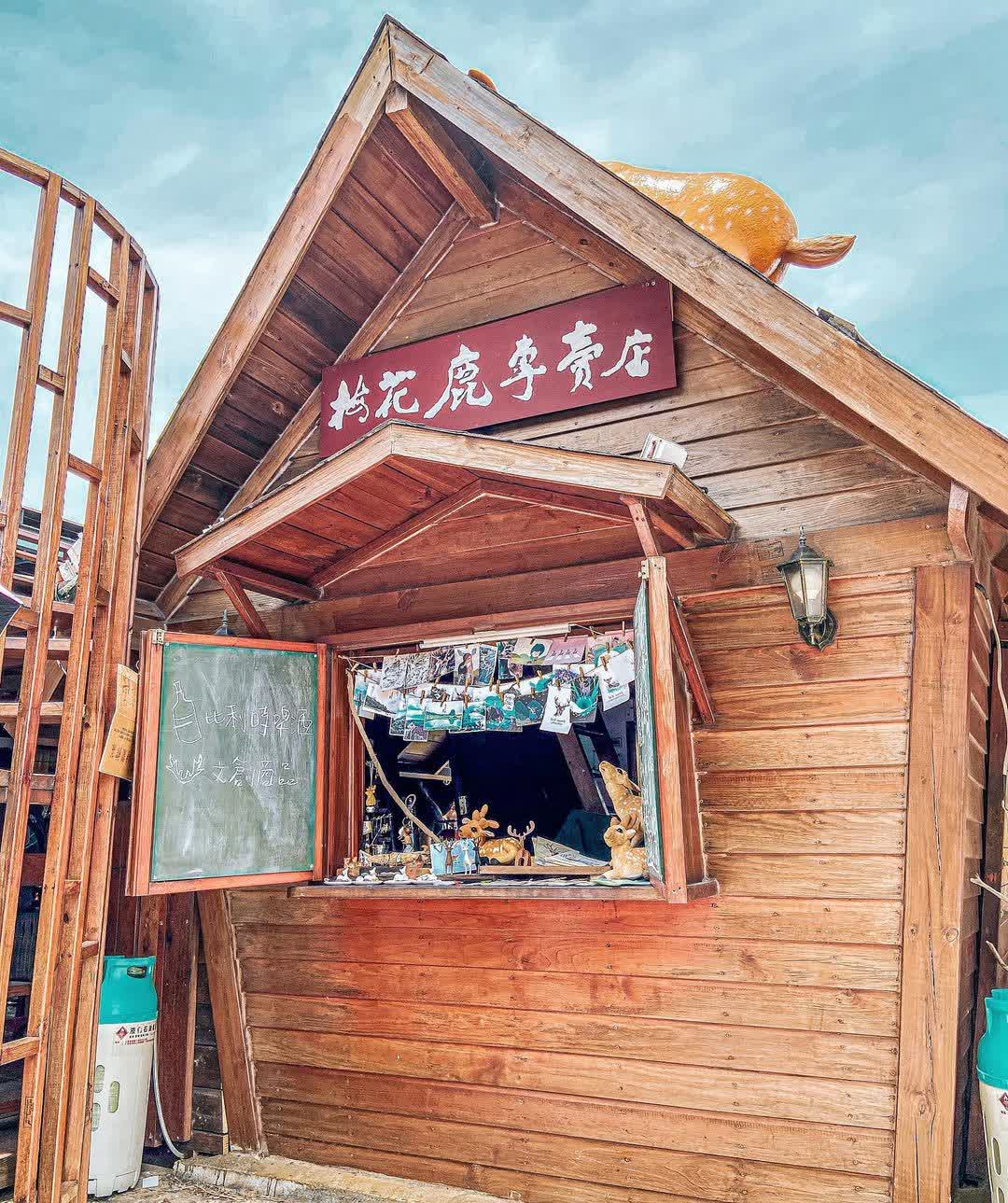 綠島-梅花鹿專賣店 | GreenIsland-SikaDeerStore | 去趣 chicTrip