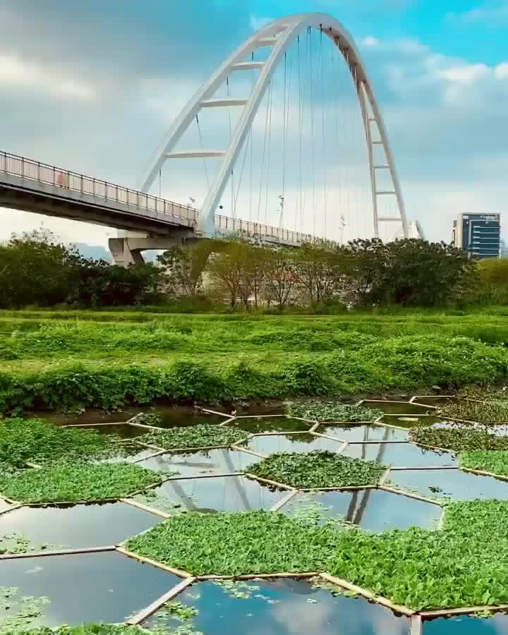 信義鄉農會梅子夢工廠(酒莊) | 去趣 chicTrip