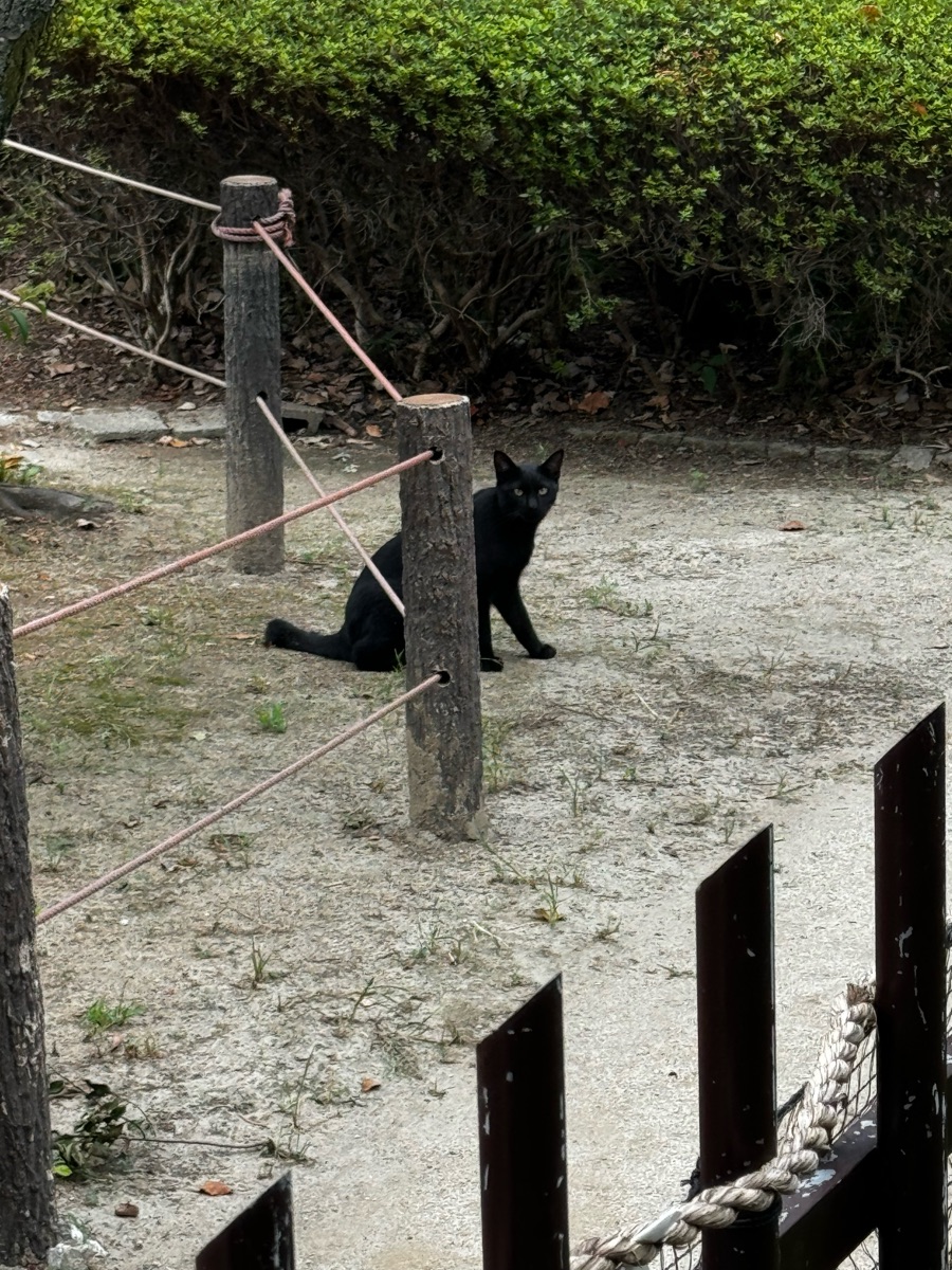 住吉神社 | 去趣 chicTrip