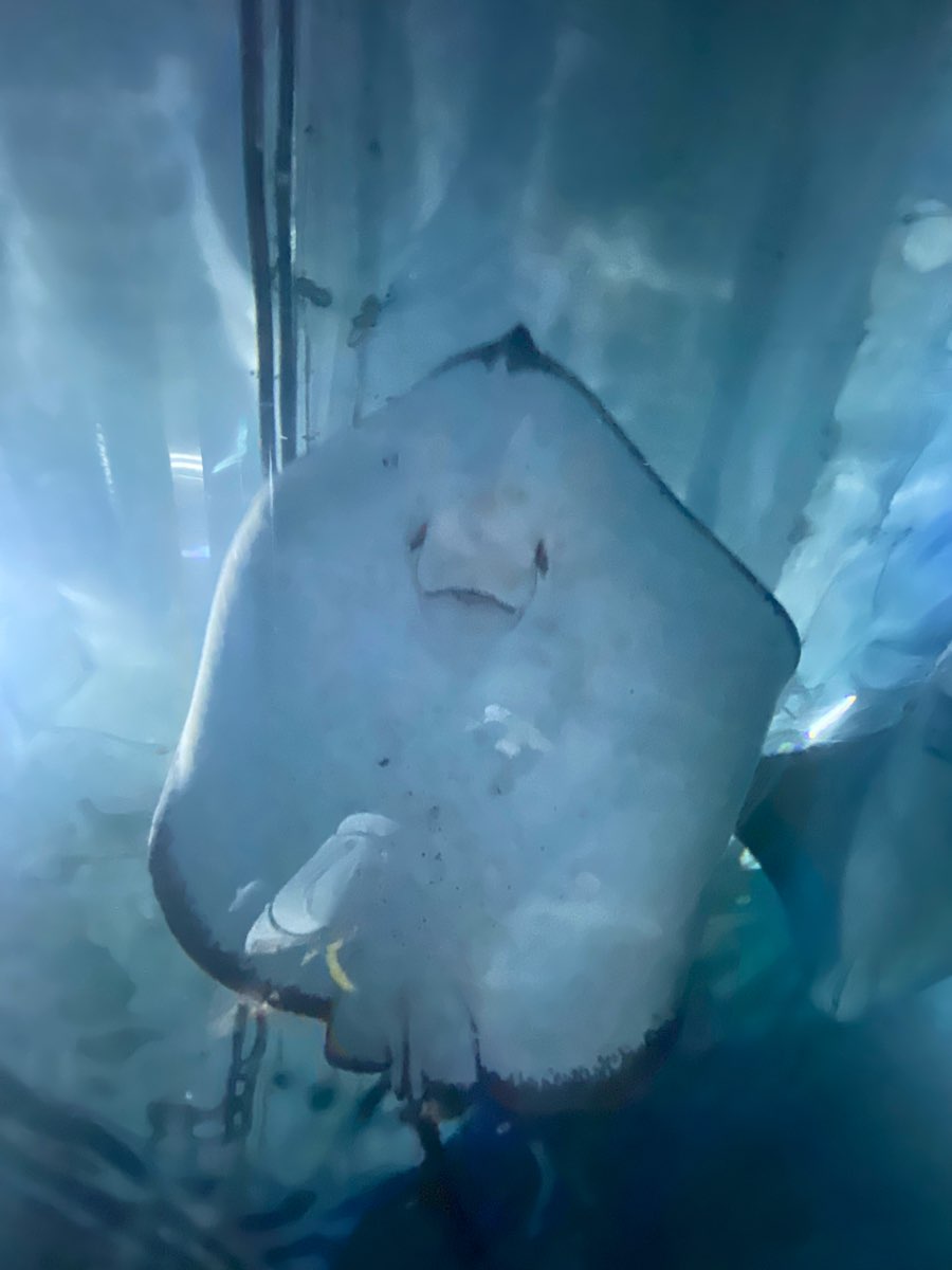 遠雄海洋公園 | 去趣 chicTrip