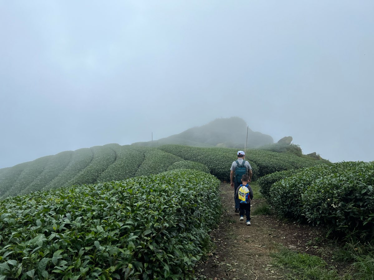 二延平步道 | 去趣 chicTrip