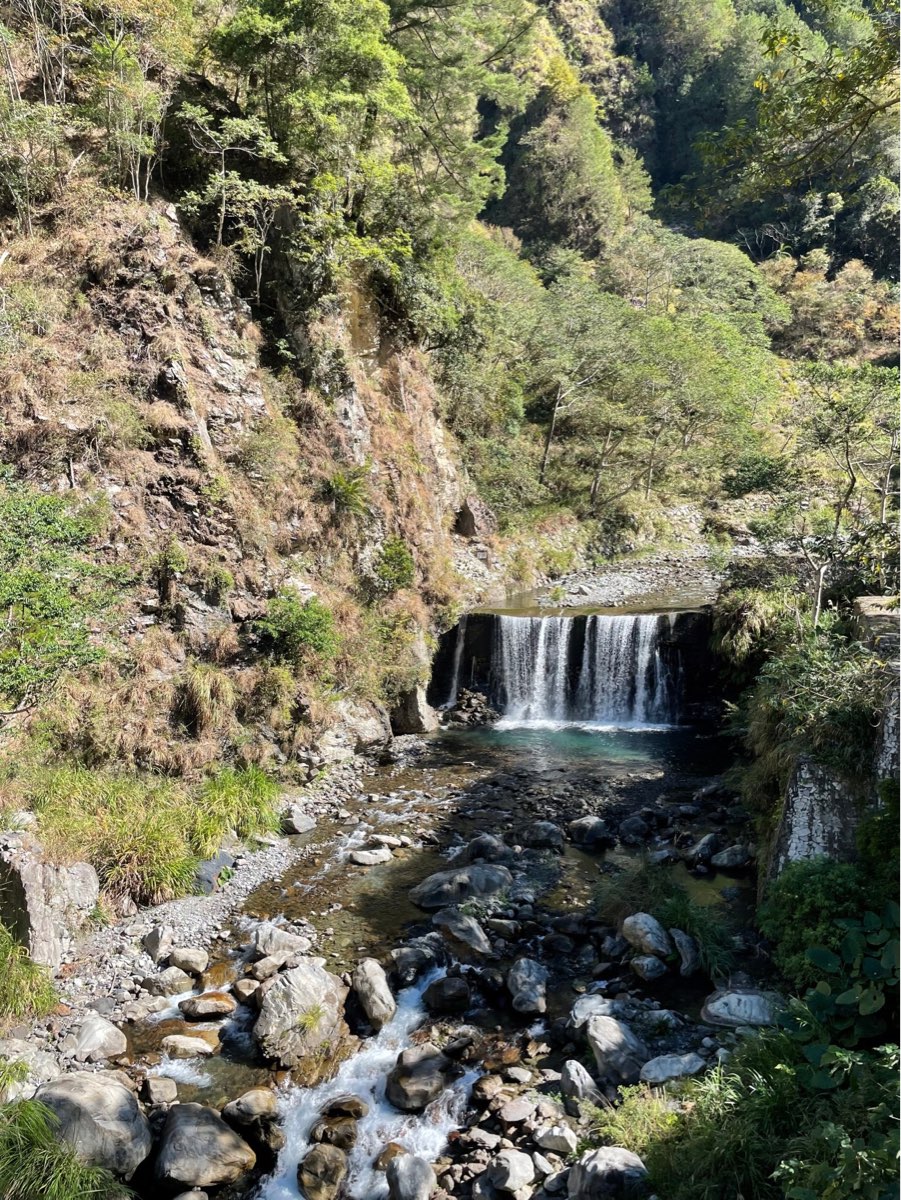 八仙山國家森林遊樂區 | 去趣 chicTrip