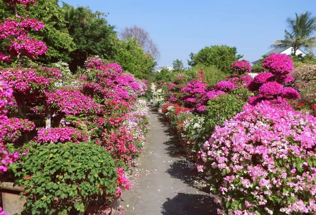 田尾公路花園 | 去趣 chicTrip