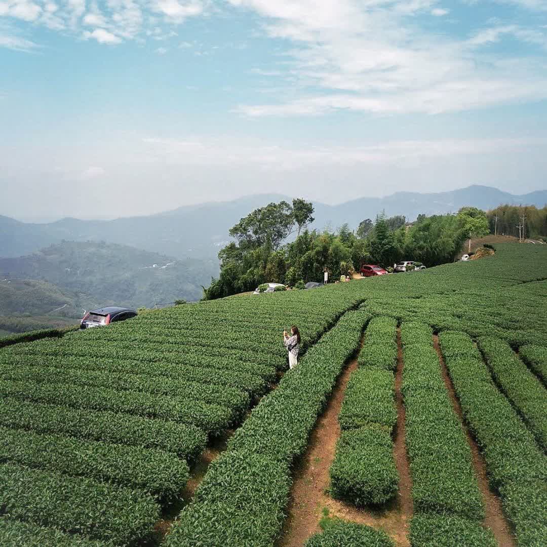 一三一四觀景台 | 去趣 chicTrip