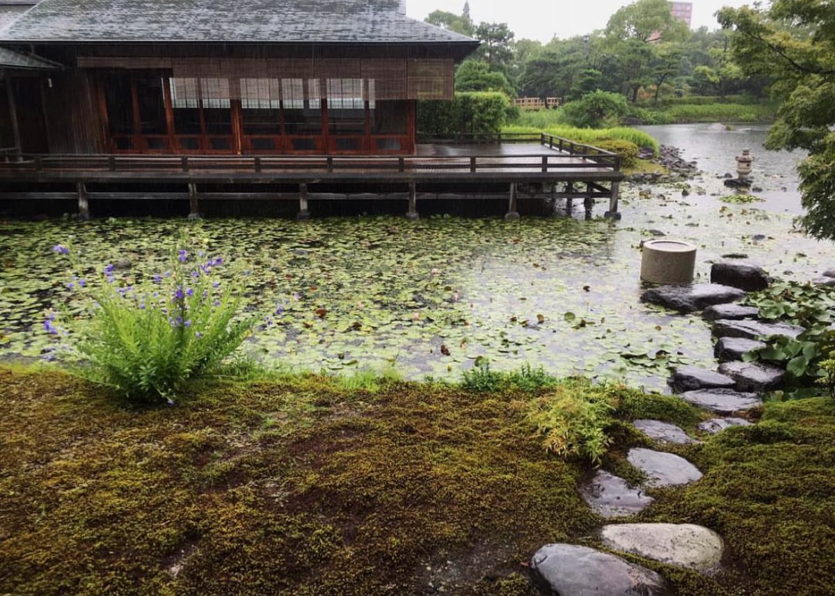 白鳥庭園 | 去趣 chicTrip