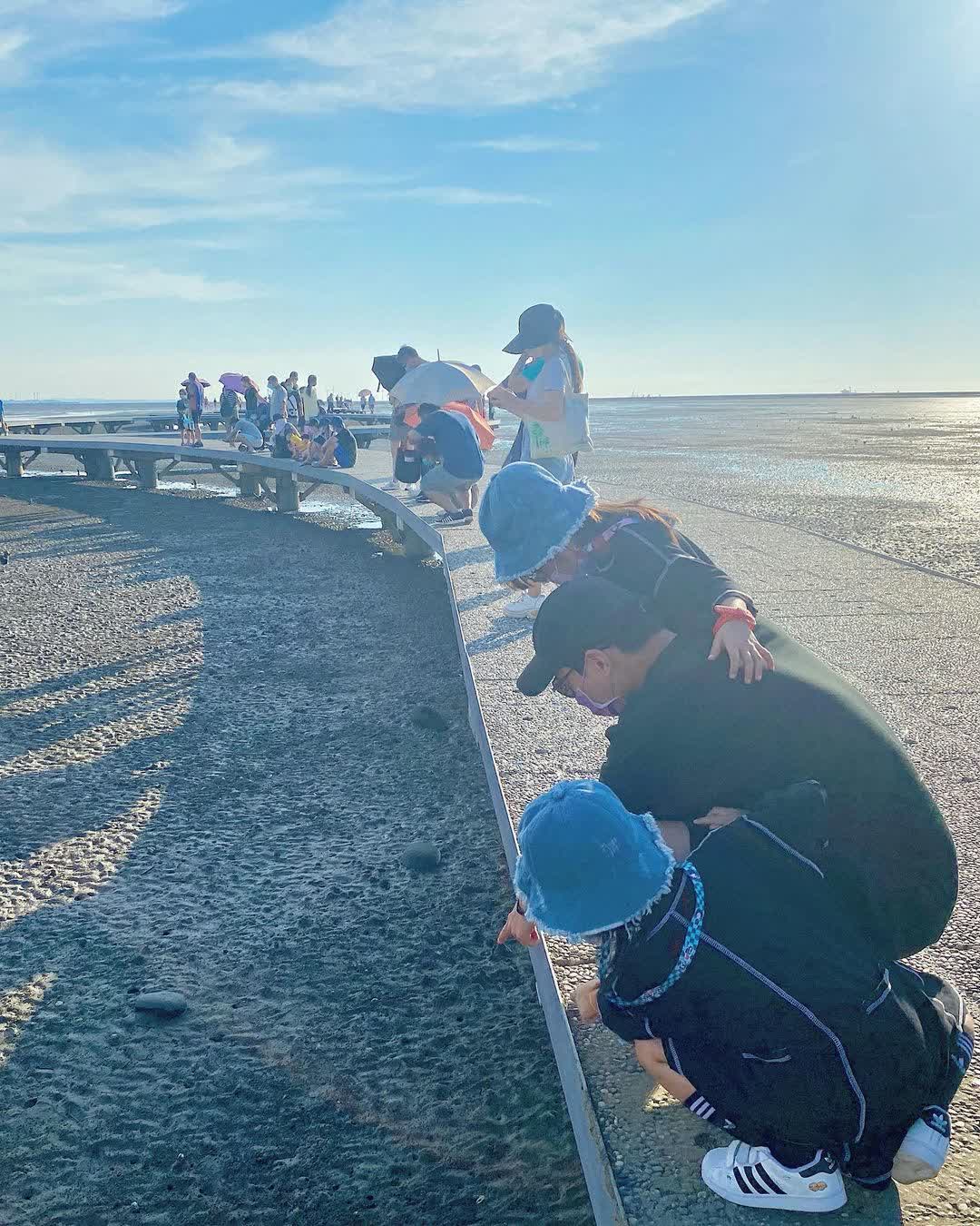 香山濕地賞蟹步道 | 去趣 chicTrip