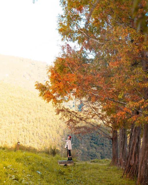 武陵農場 | 去趣 chicTrip