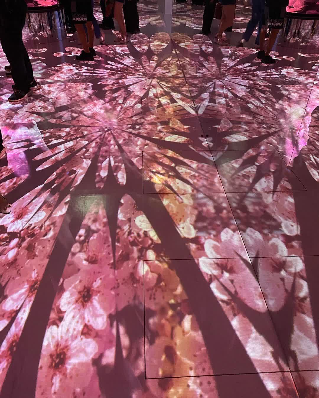 Xpark 水族館 | 去趣 chicTrip