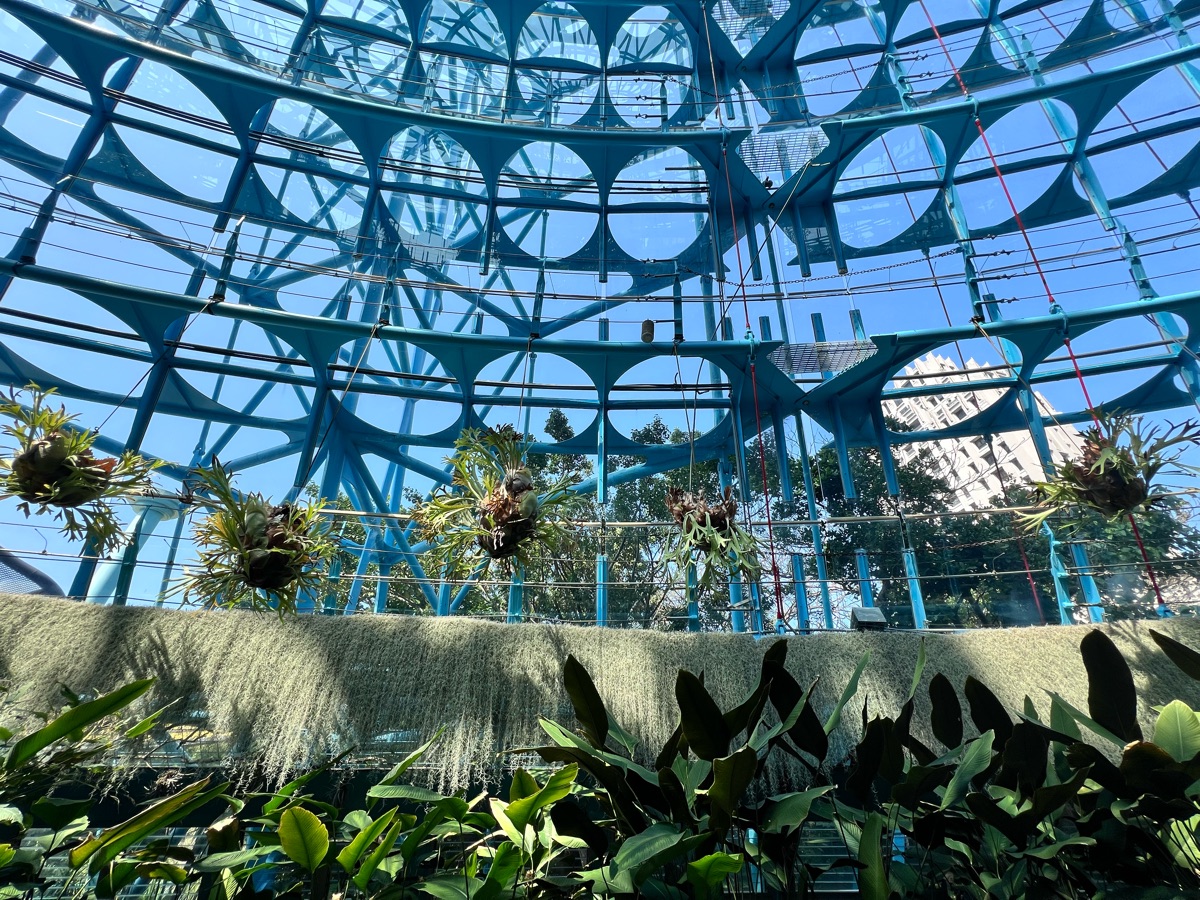 國立自然科學博物館植物園 | 去趣 chicTrip