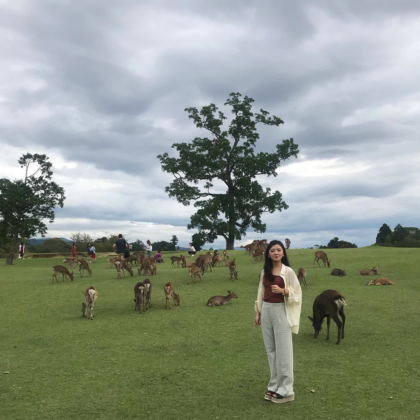 奈良公園 | 去趣 chicTrip