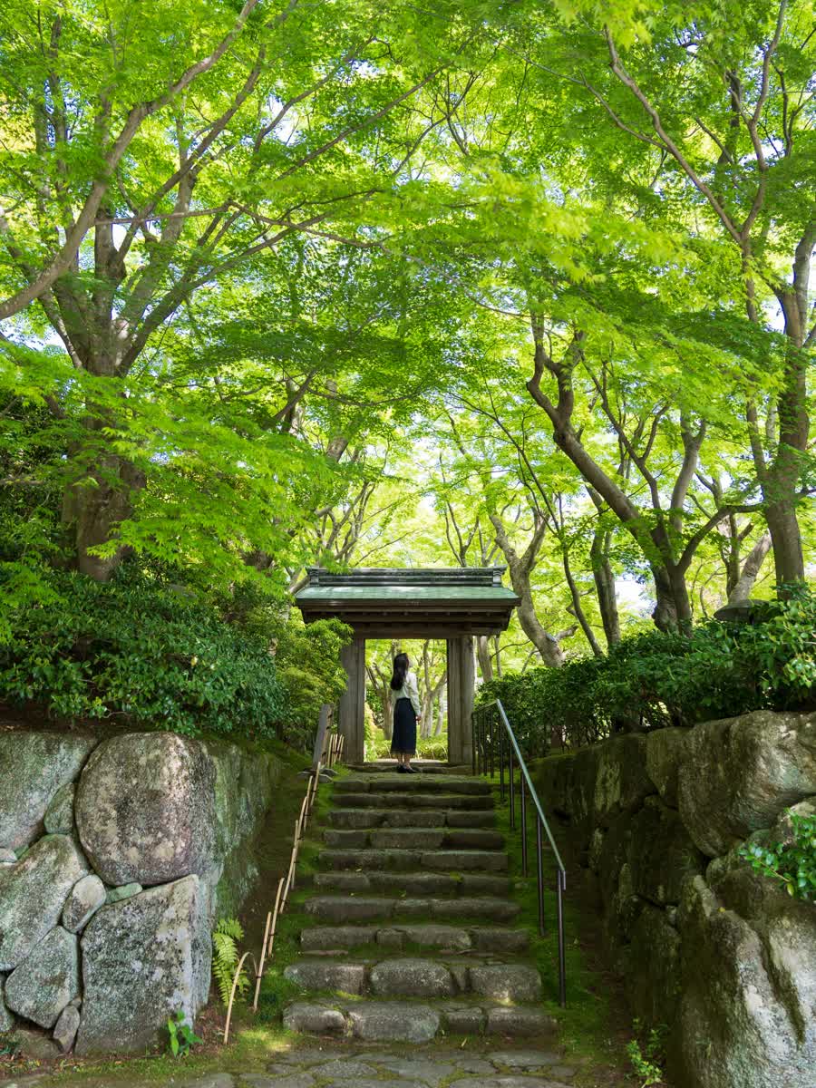 MOA美術館 | 去趣 chicTrip