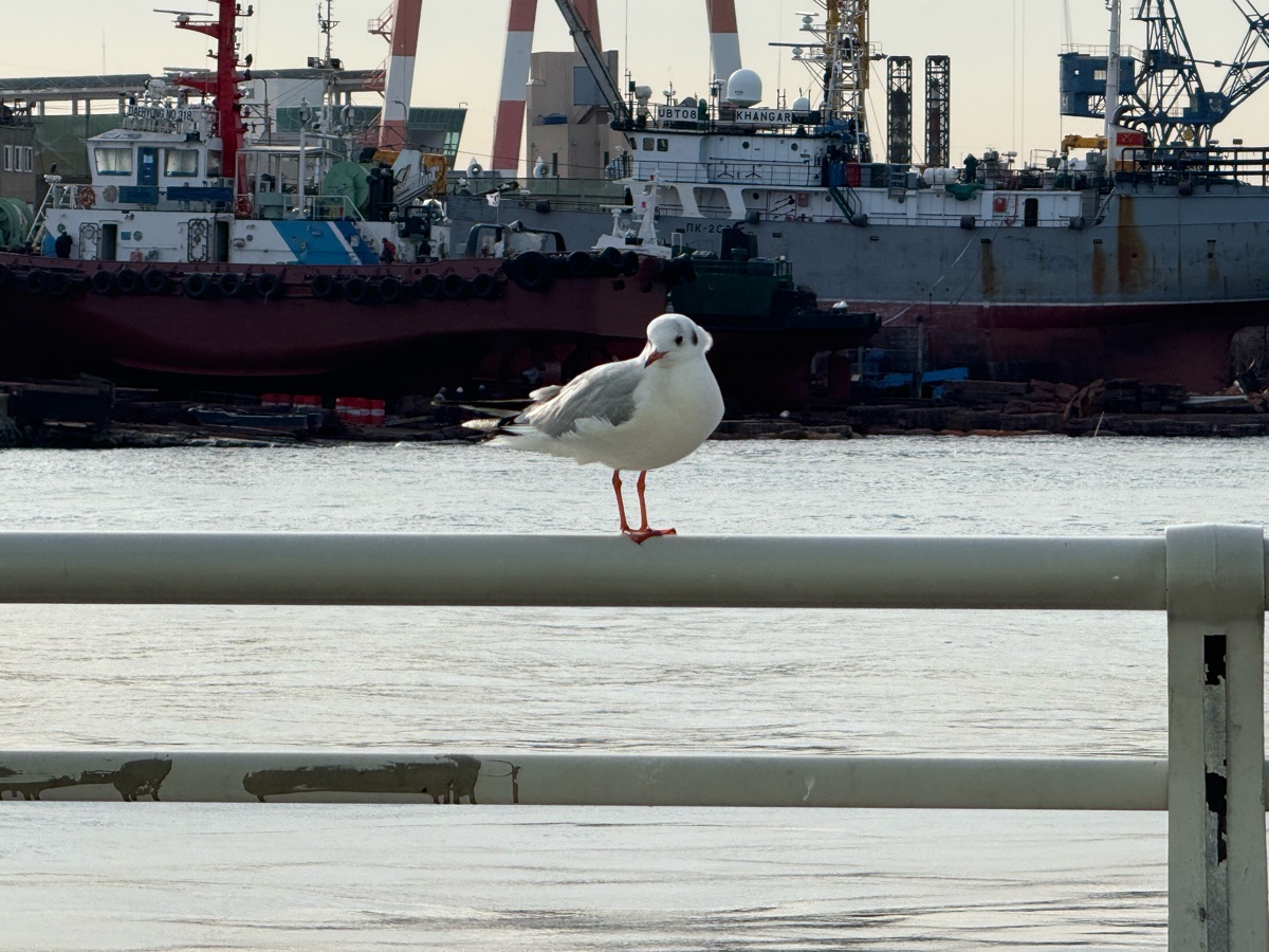 札嘎其市場 | 去趣 chicTrip