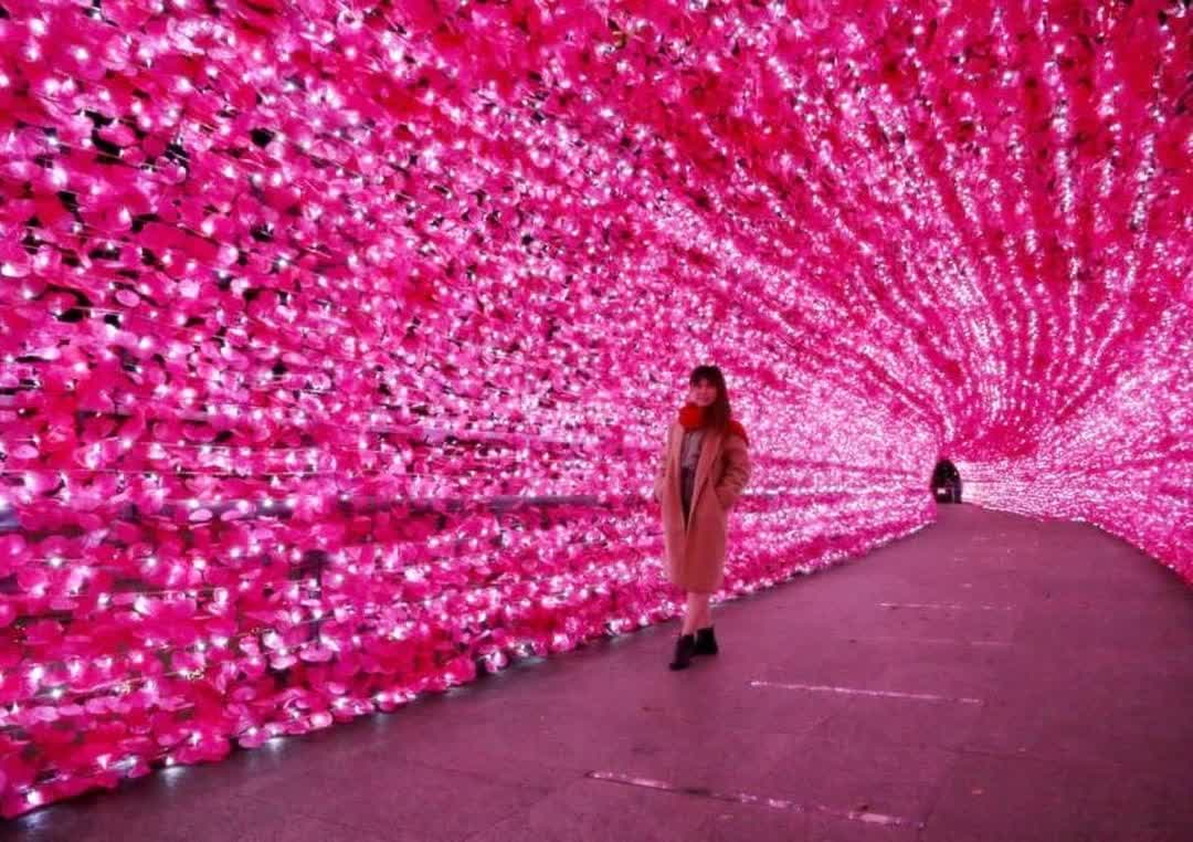 新北市政府市民廣場 | 去趣 chicTrip