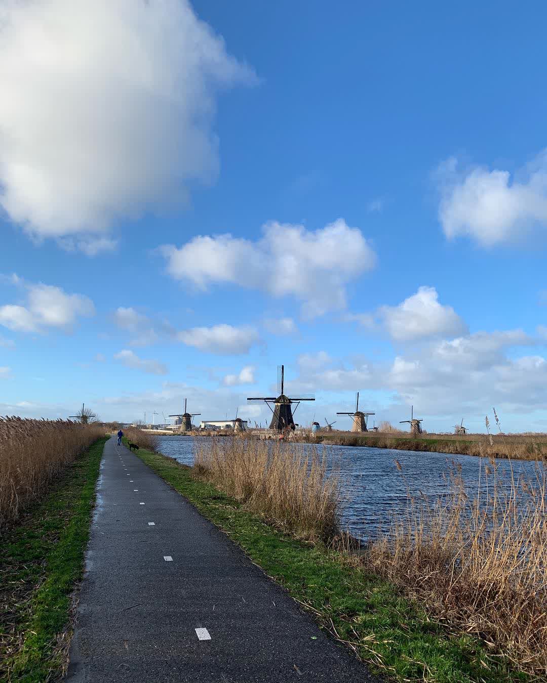 小孩堤防-埃爾斯豪特風車群 | 去趣 chicTrip