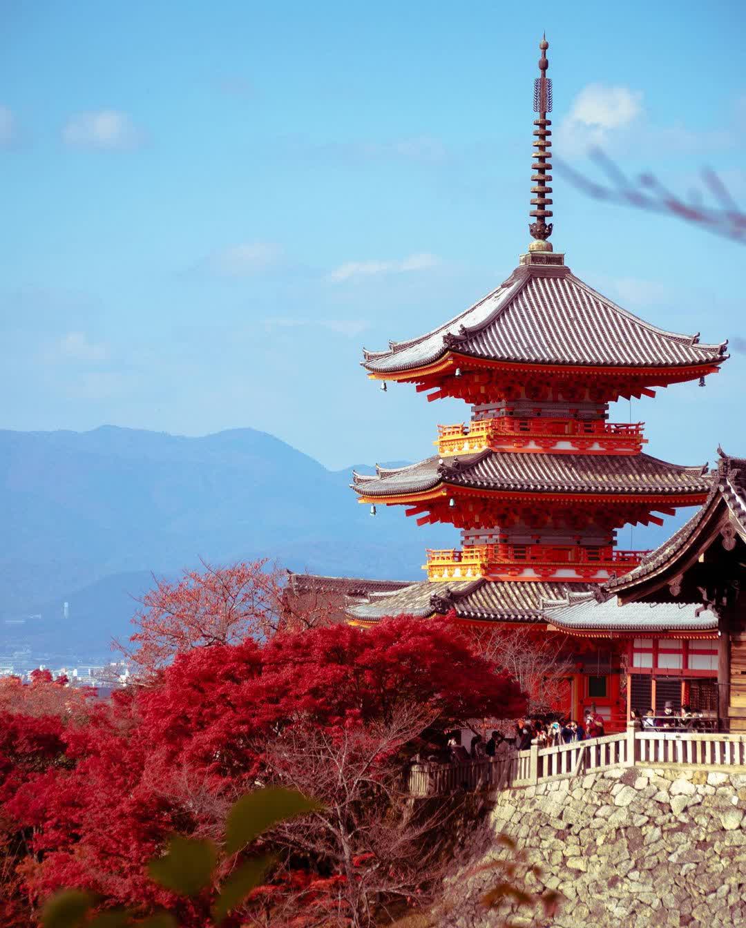 清水寺 | 去趣 chicTrip