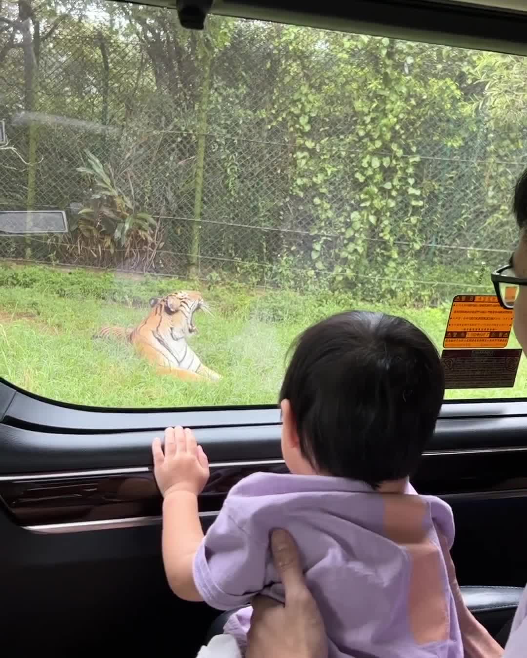 關西六福莊生態渡假旅館 | 去趣 chicTrip