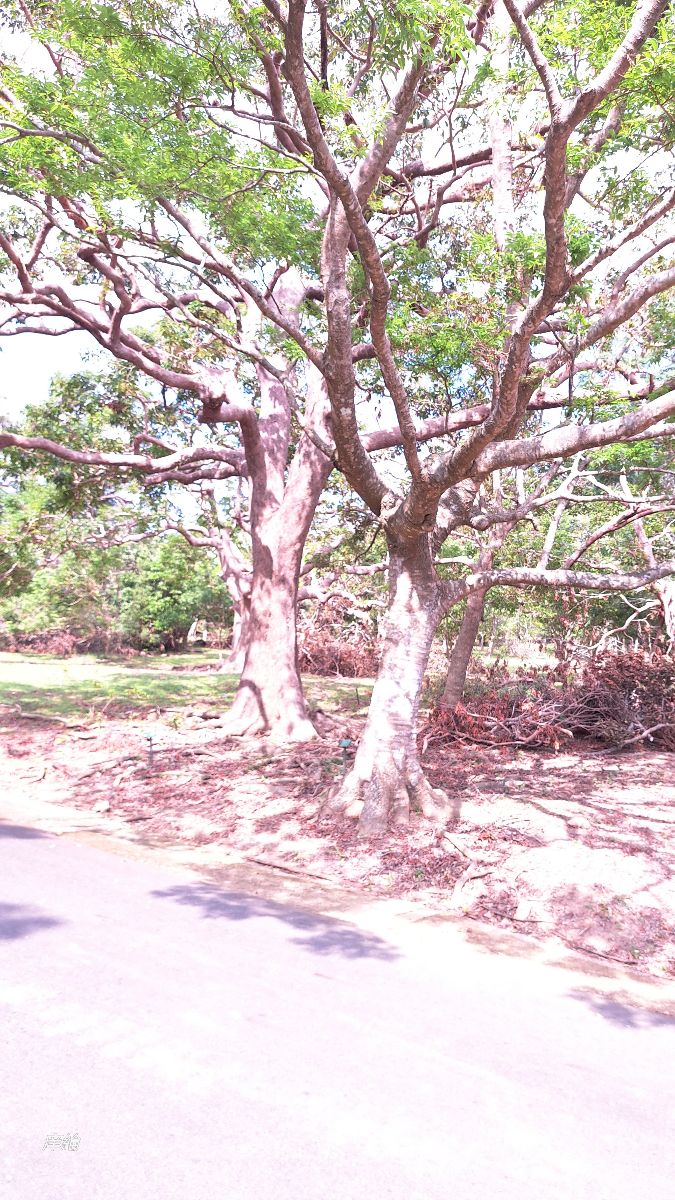 墾丁國家公園 | 去趣 chicTrip