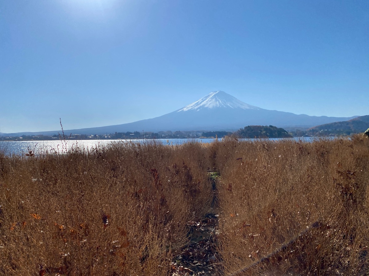大石公園 | 去趣 chicTrip