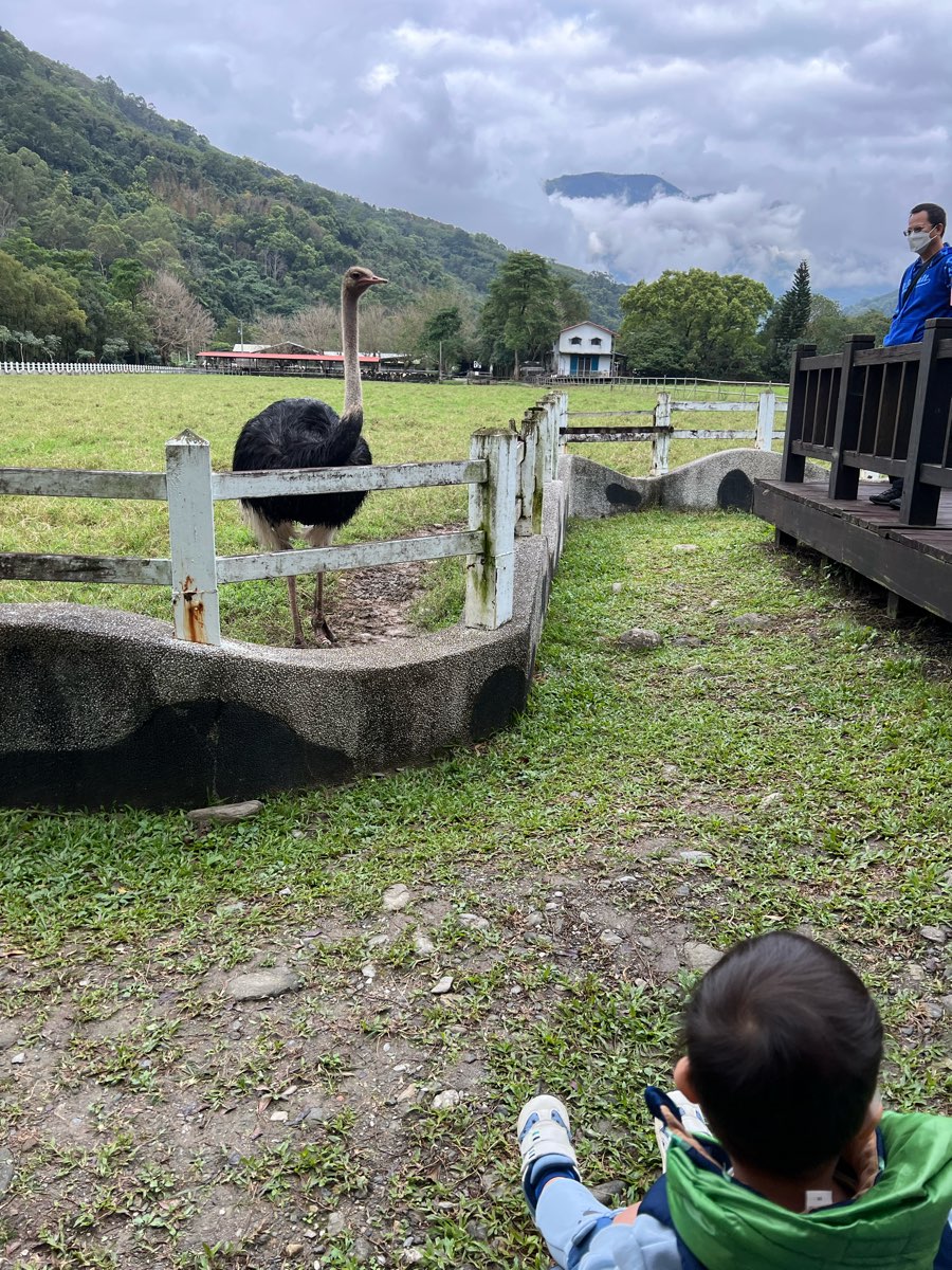 瑞穗牧場 | 去趣 chicTrip