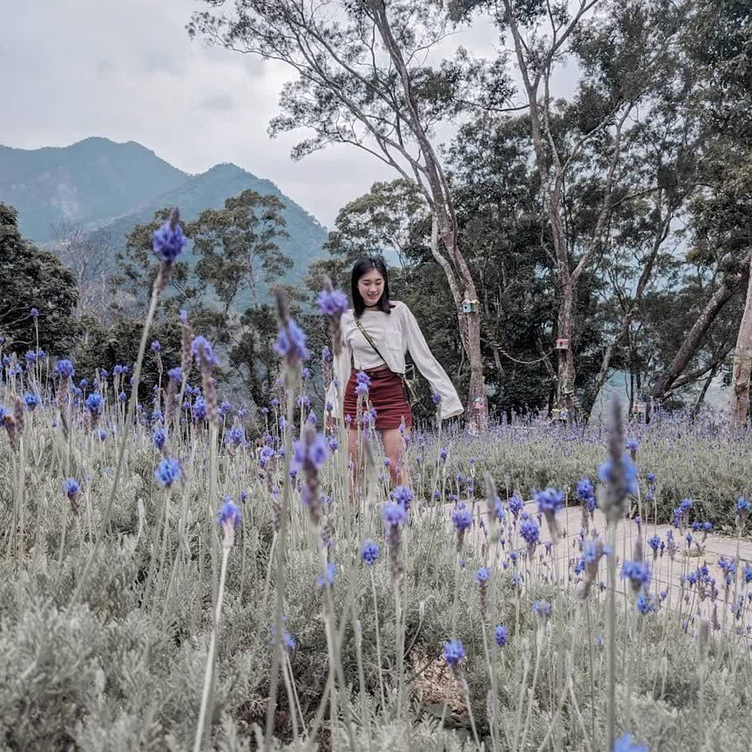薰衣草森林新竹尖石店 | 去趣 chicTrip