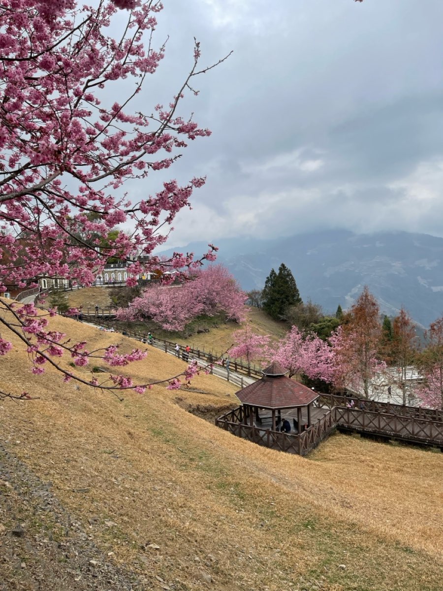清境農場青青草原 | 去趣 chicTrip