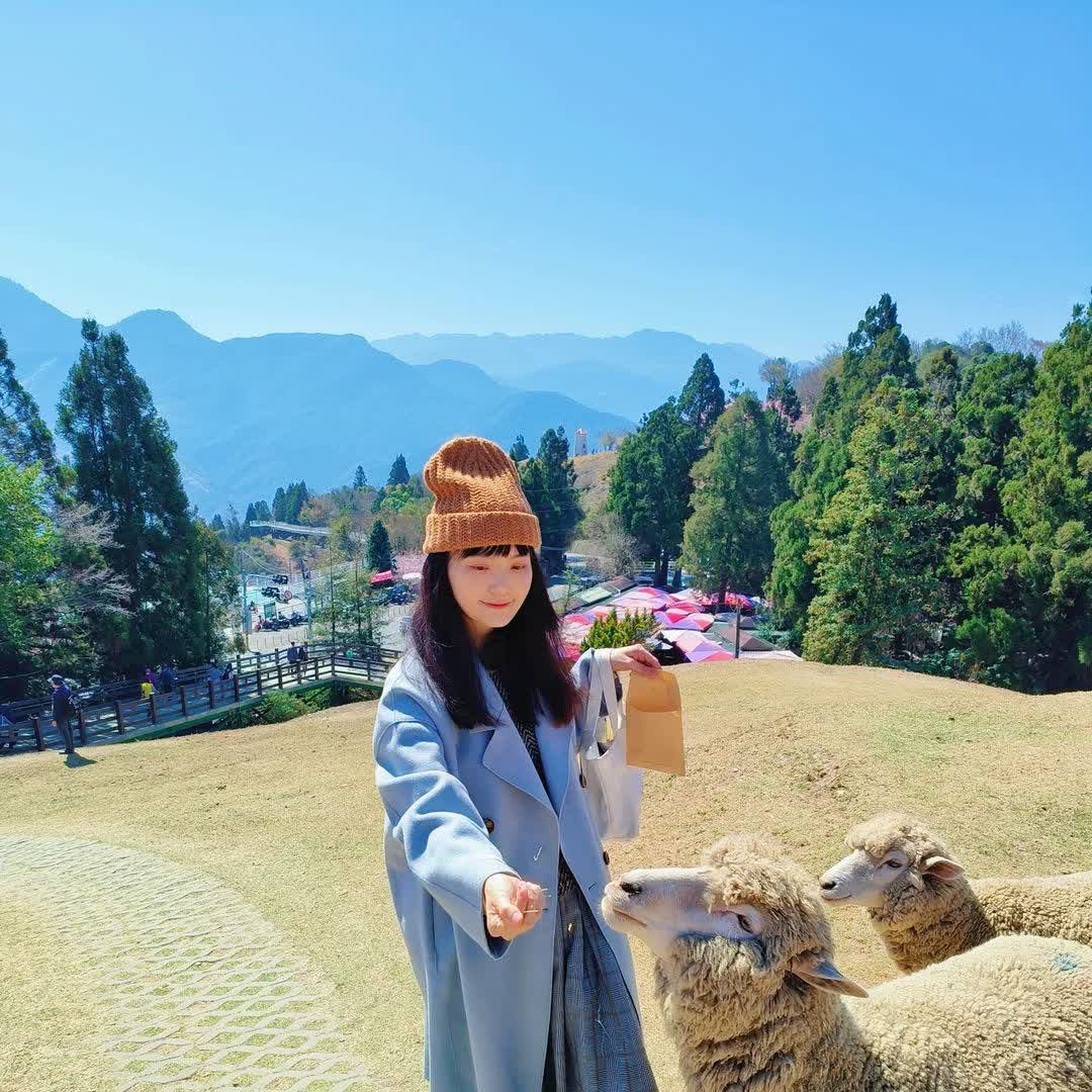 清境農場青青草原 | 去趣 chicTrip