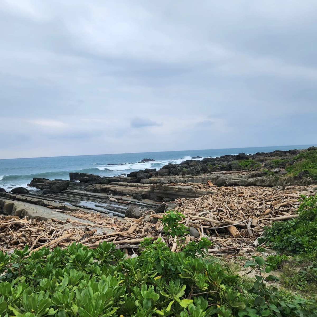 東部海岸地質公園（富岡地質公園） | 去趣 chicTrip