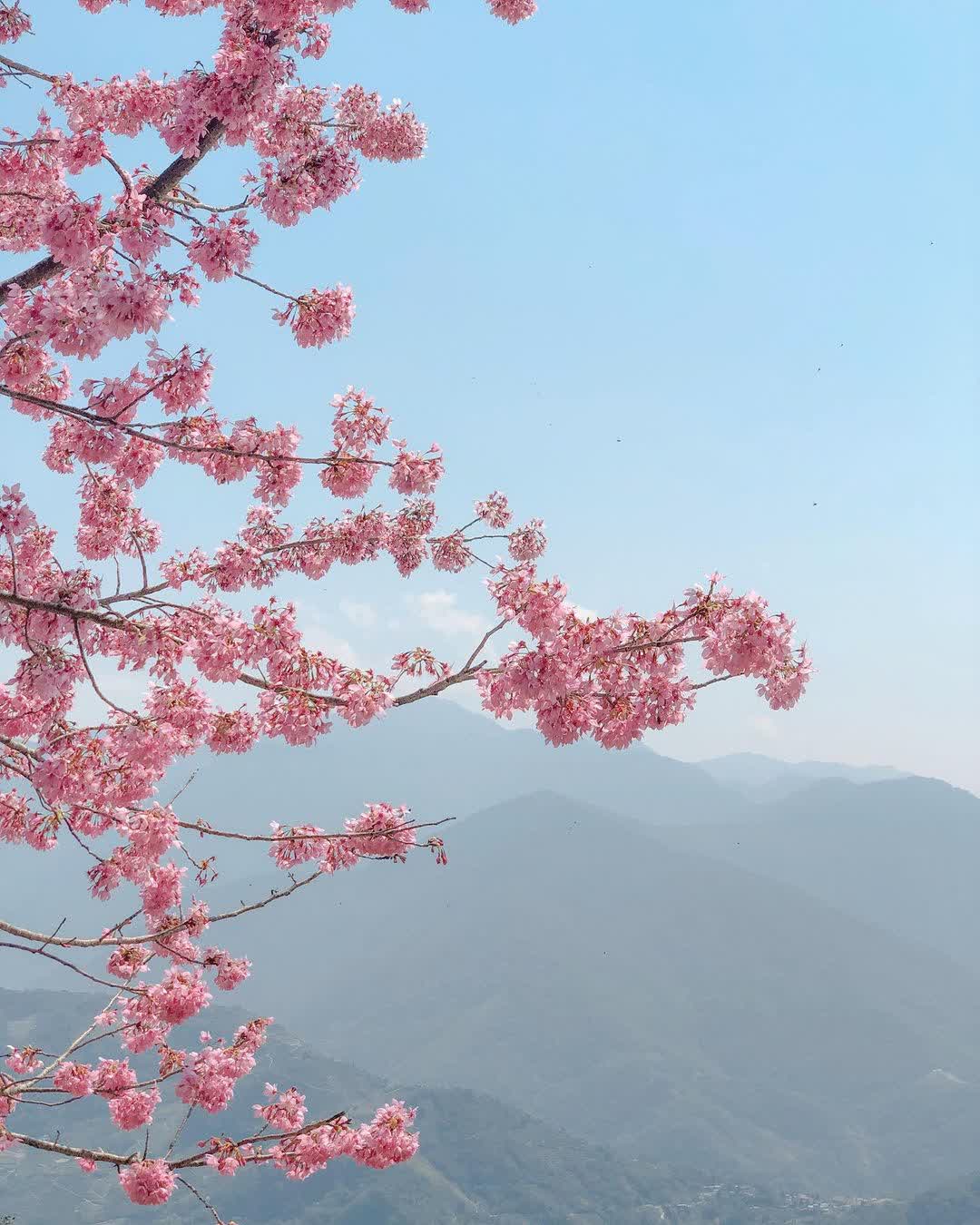 清境農場青青草原 | 去趣 chicTrip