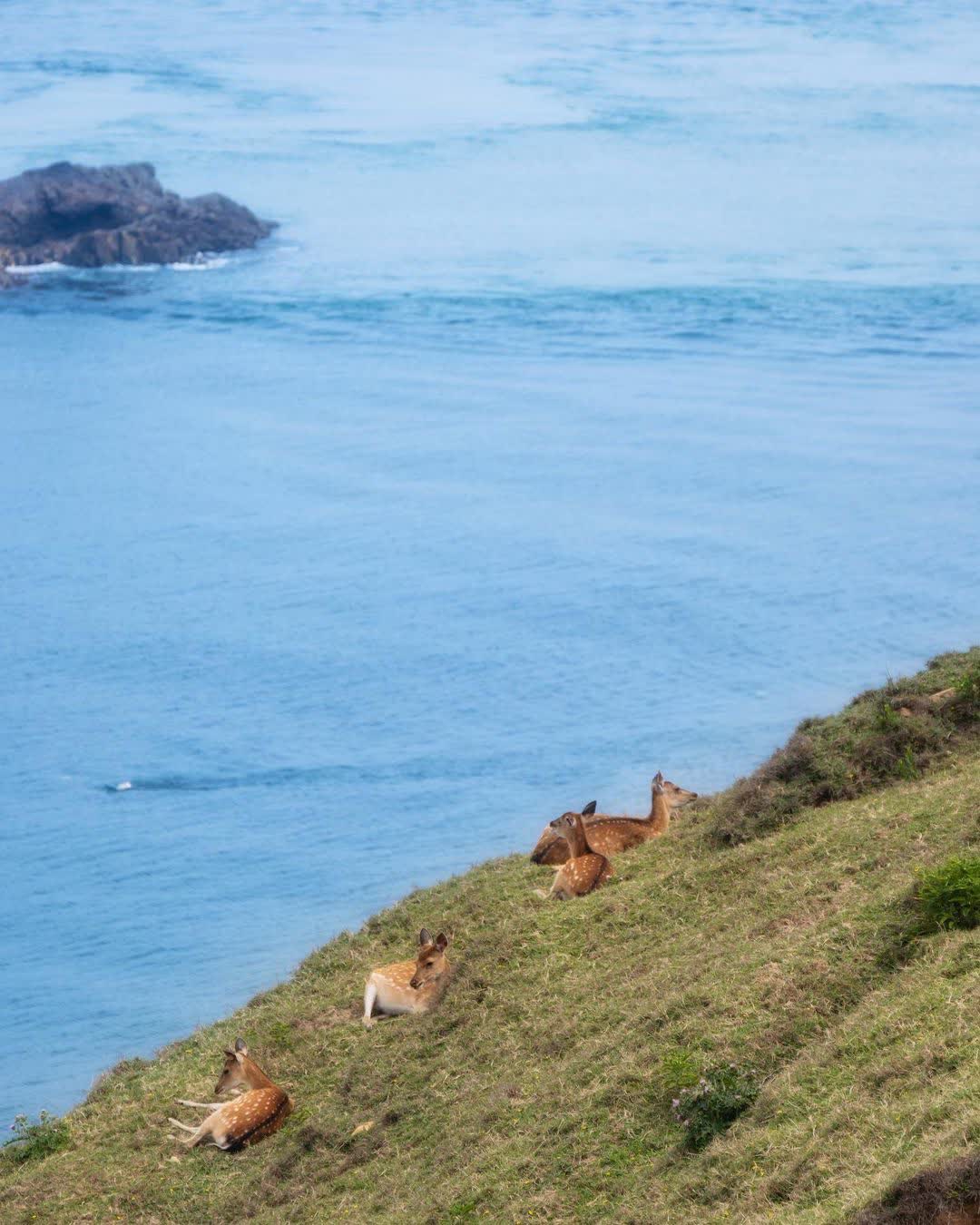 大坵島 | 去趣 chicTrip