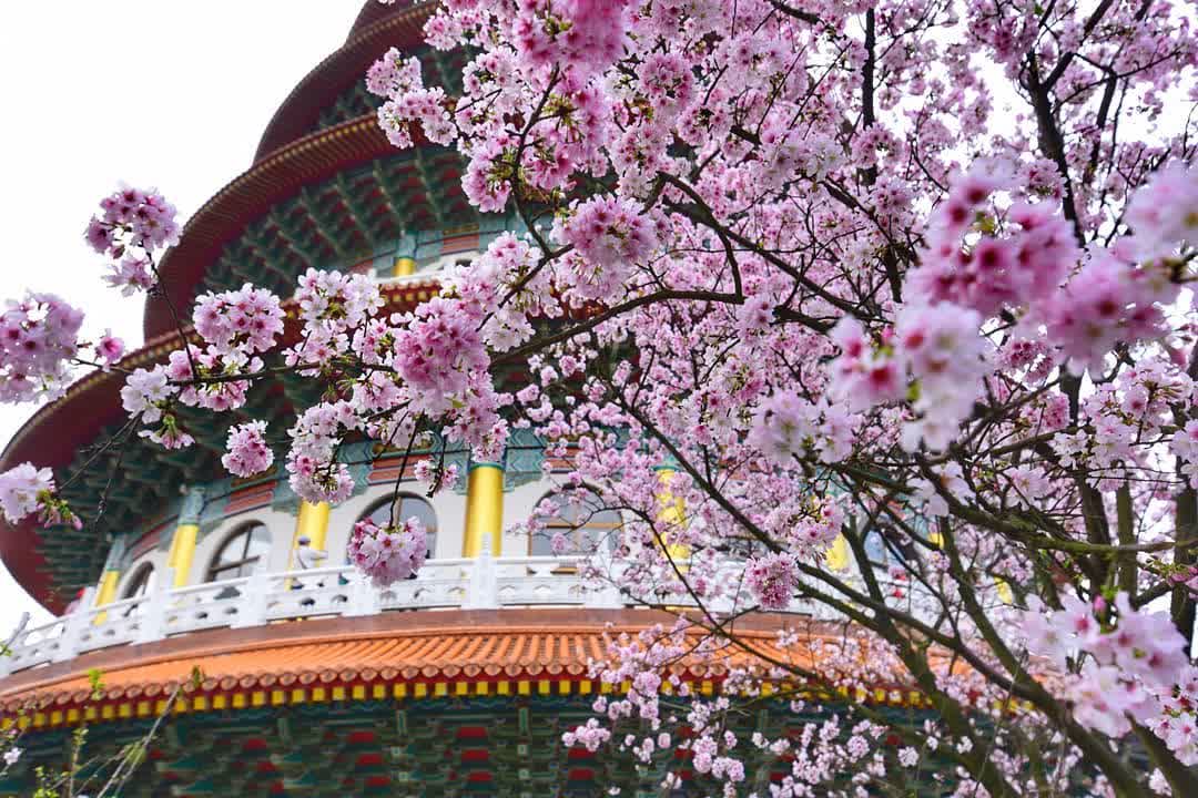 無極天元宮 | 去趣 chicTrip