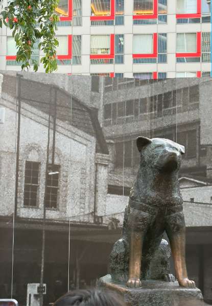 忠犬八公像 | 去趣 chicTrip