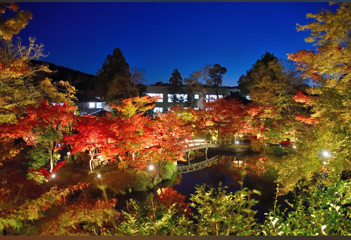 禪林寺永觀堂 | 去趣 chicTrip