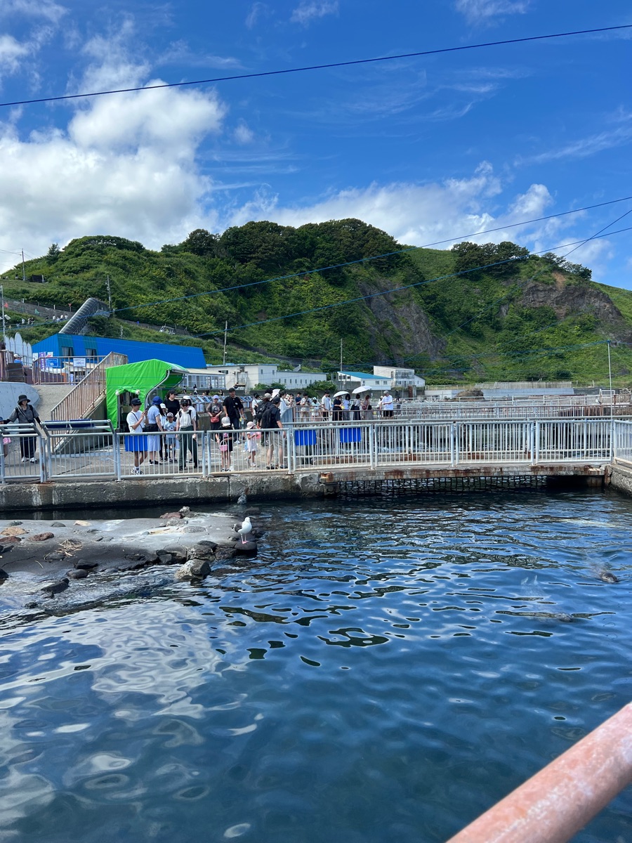 小樽水族館 | 去趣 chicTrip