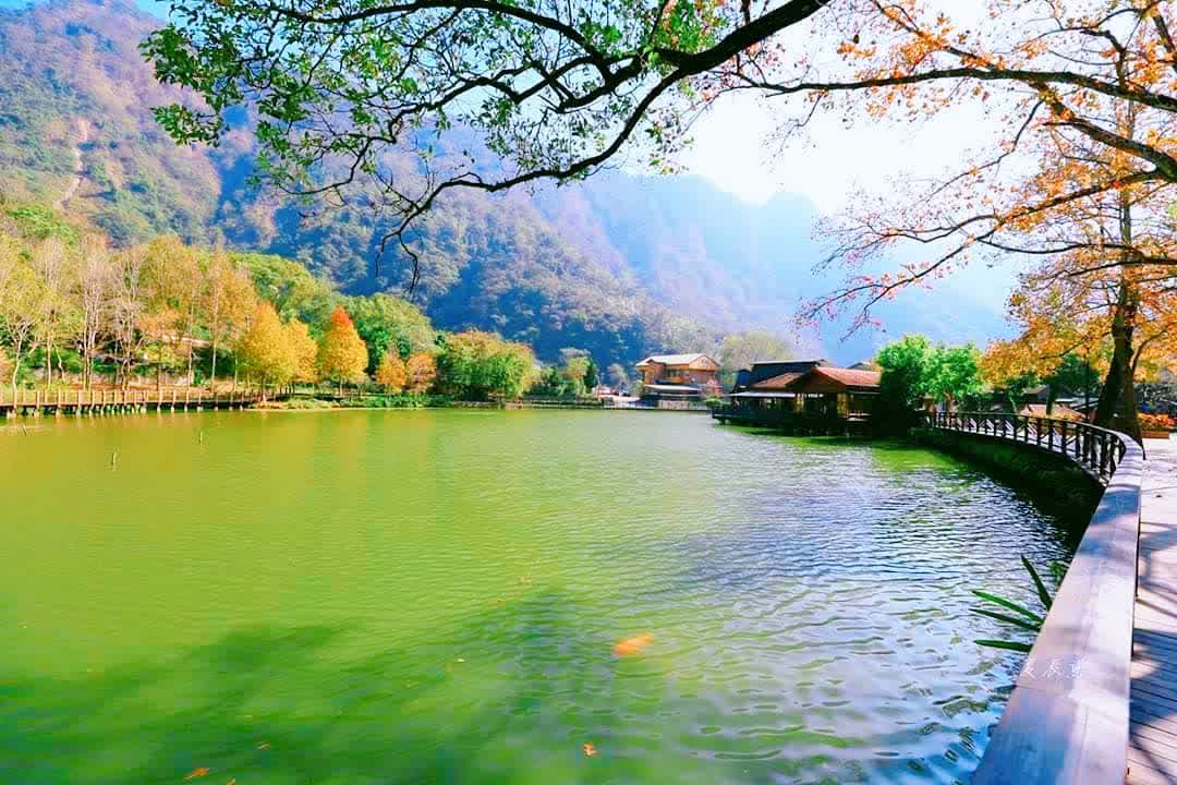 貯木池 | 去趣 chicTrip