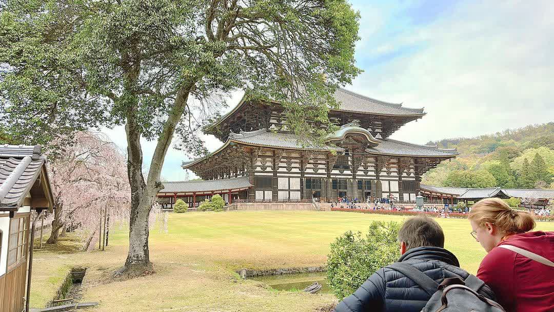 Tōdai-ji 東大寺 | 去趣 chicTrip
