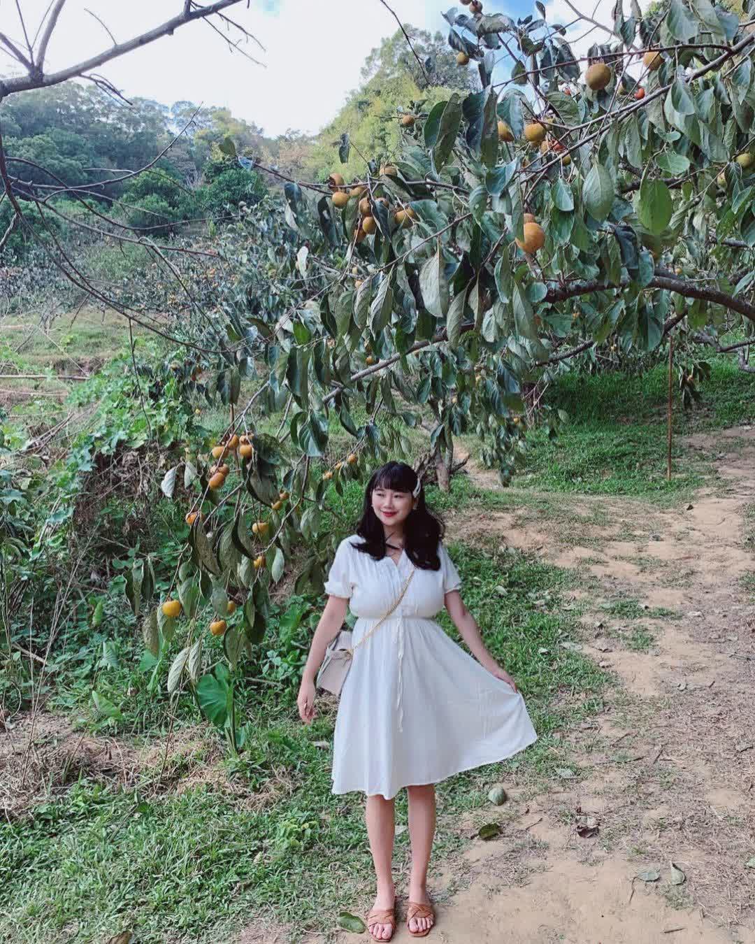 味衛佳柿餅教育農園 | 去趣 chicTrip