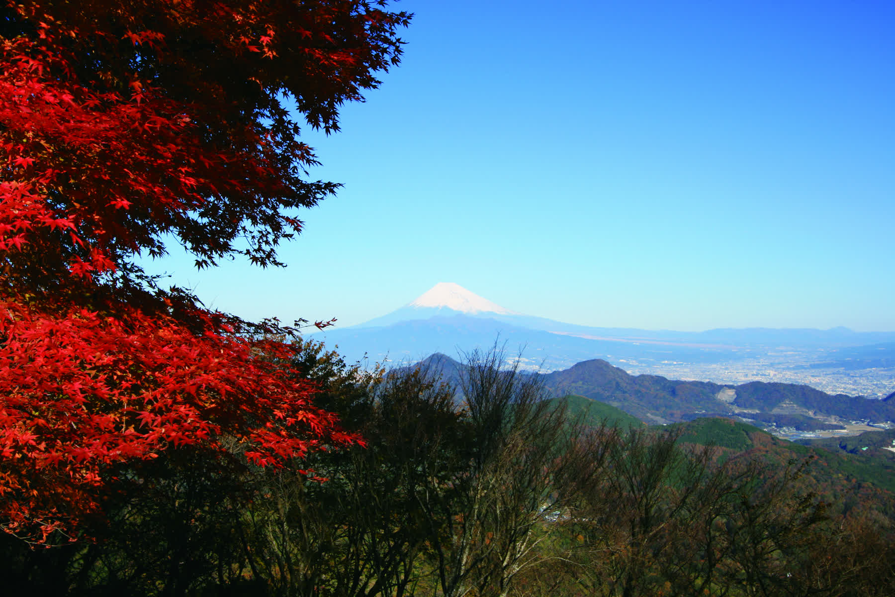 伊豆全景公園 | 去趣 chicTrip