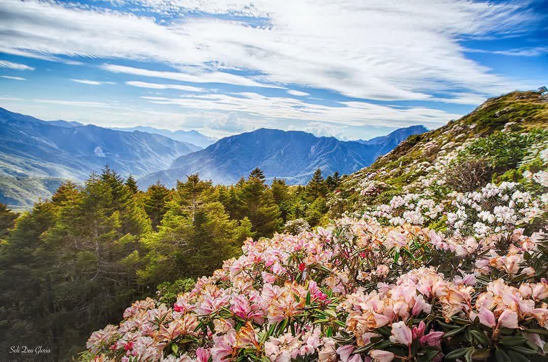 合歡山北峰步道