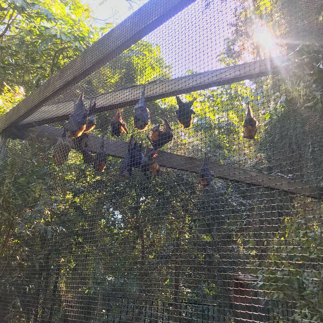 龍柏動物園 | 去趣 chicTrip