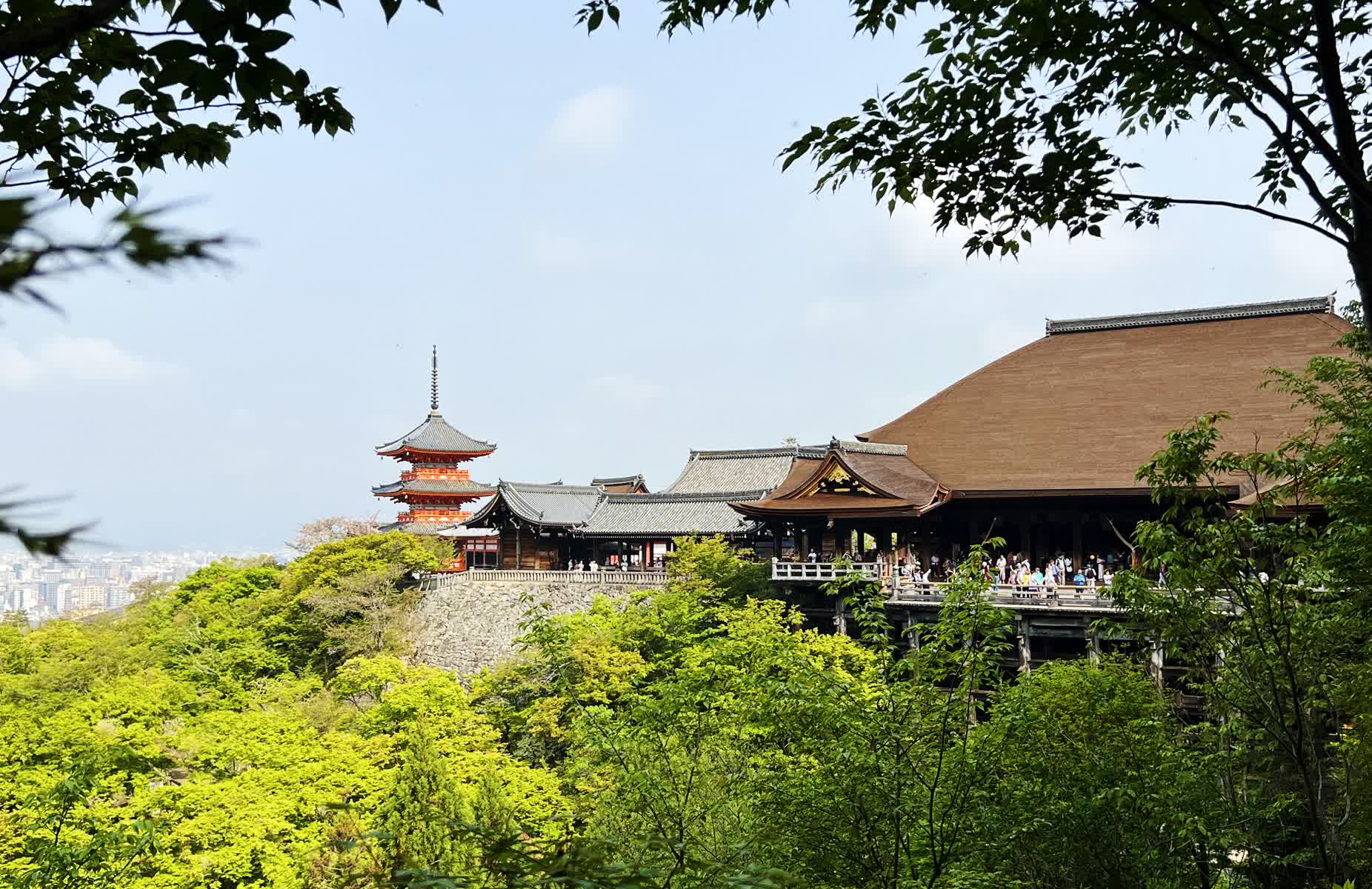 清水寺 | 去趣 chicTrip