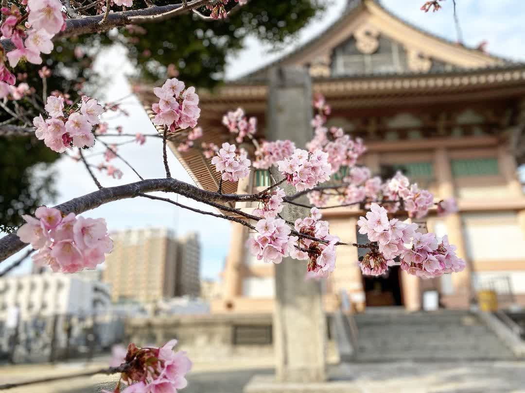 四天王寺 | 去趣 chicTrip