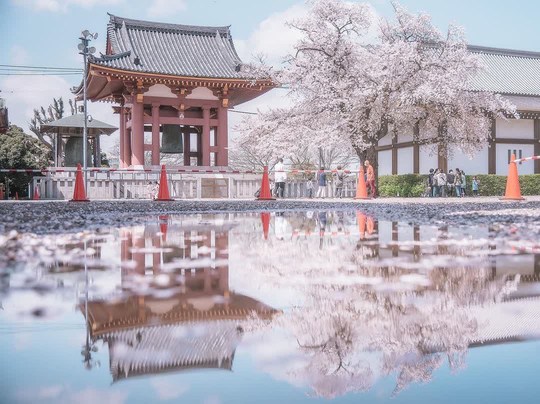 池上本門寺 | 去趣 chicTrip