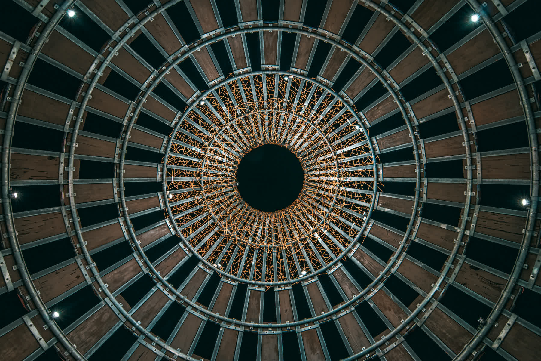 森林之歌 | 去趣 chicTrip