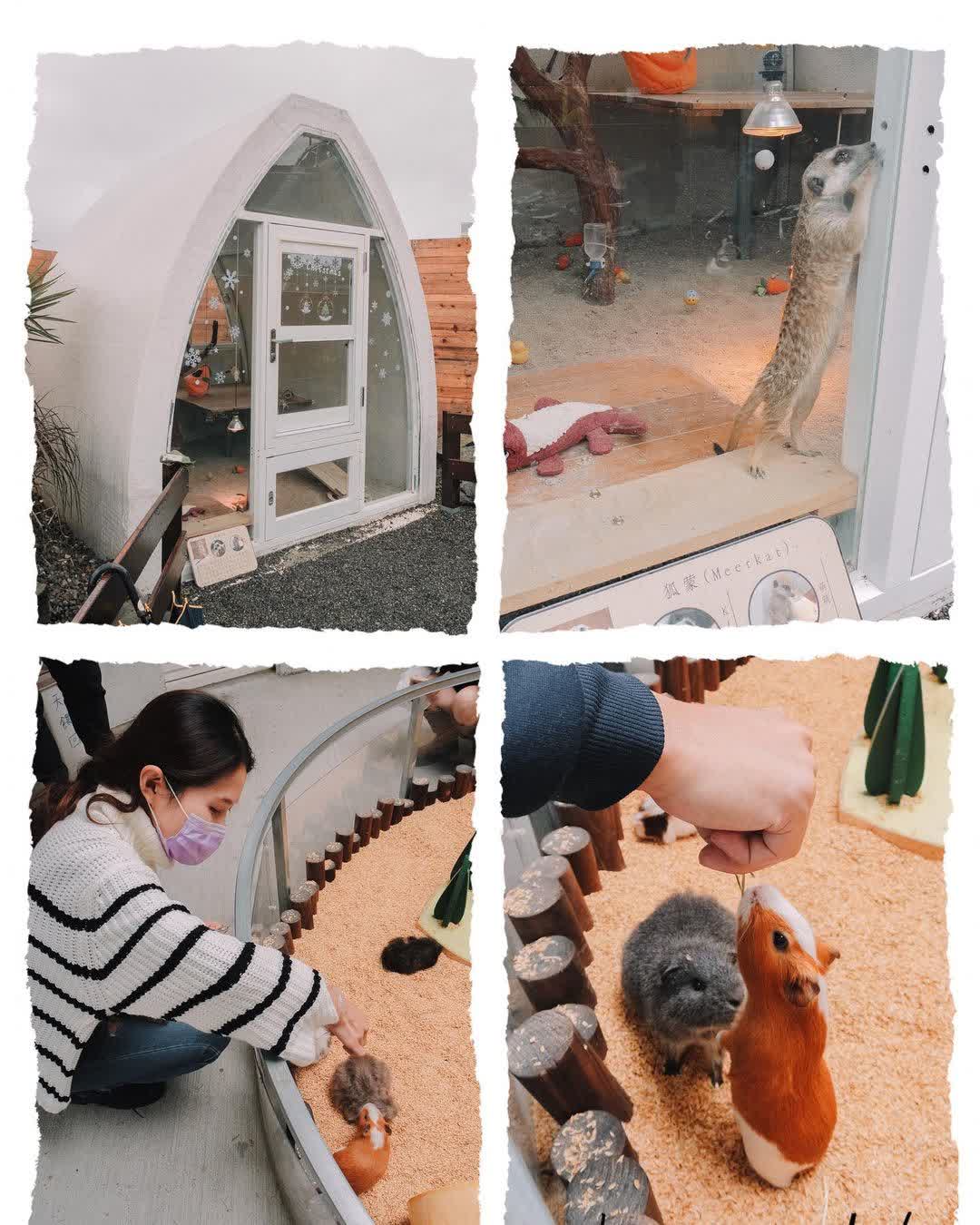 回巢農場 | 去趣 chicTrip