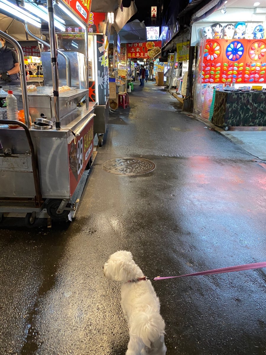 饒河街 觀光夜市 | 去趣 chicTrip