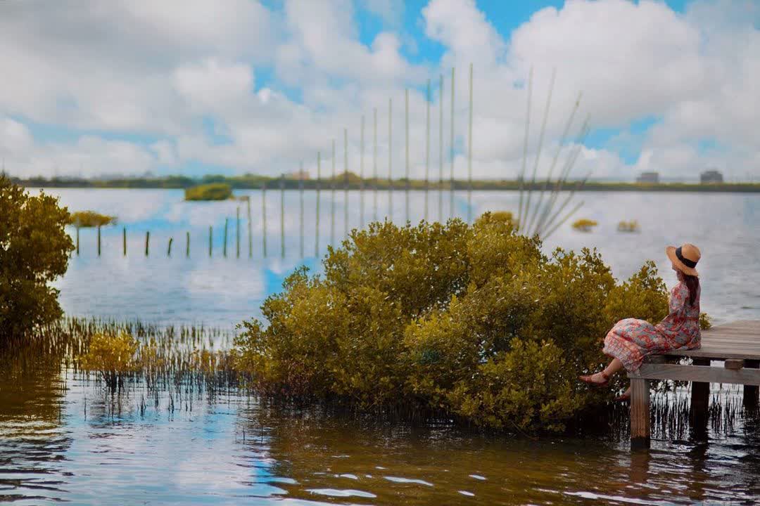 成龍溼地 | 去趣 chicTrip