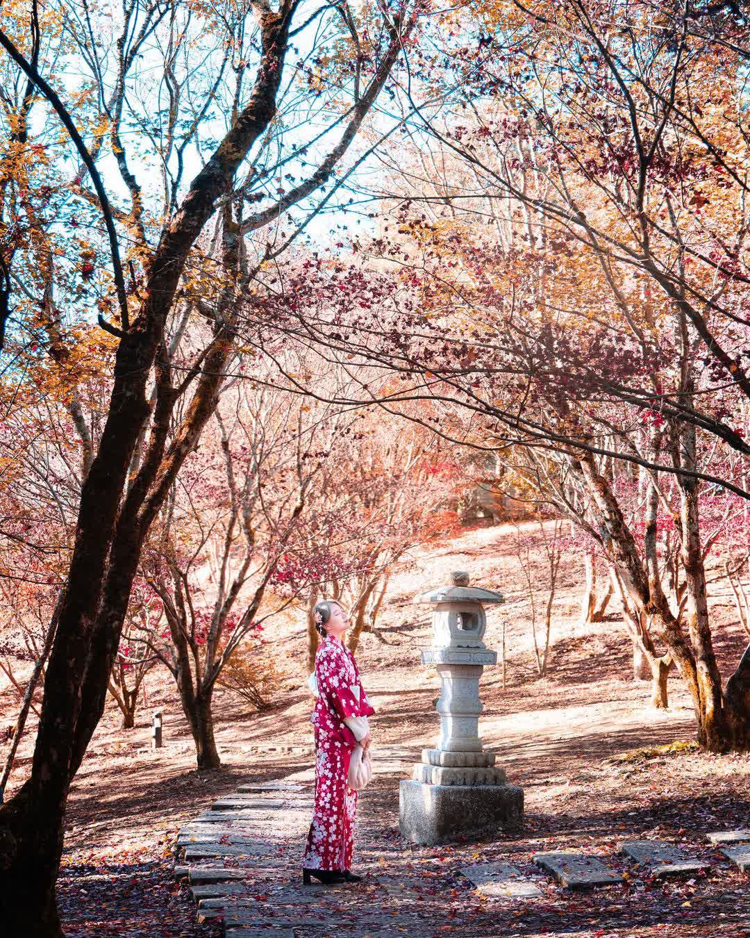 福壽山農場 | 去趣 chicTrip